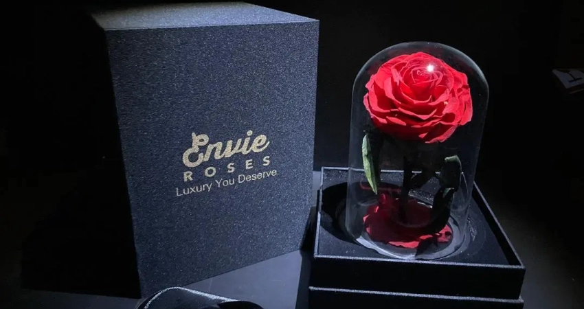preserved roses red uk