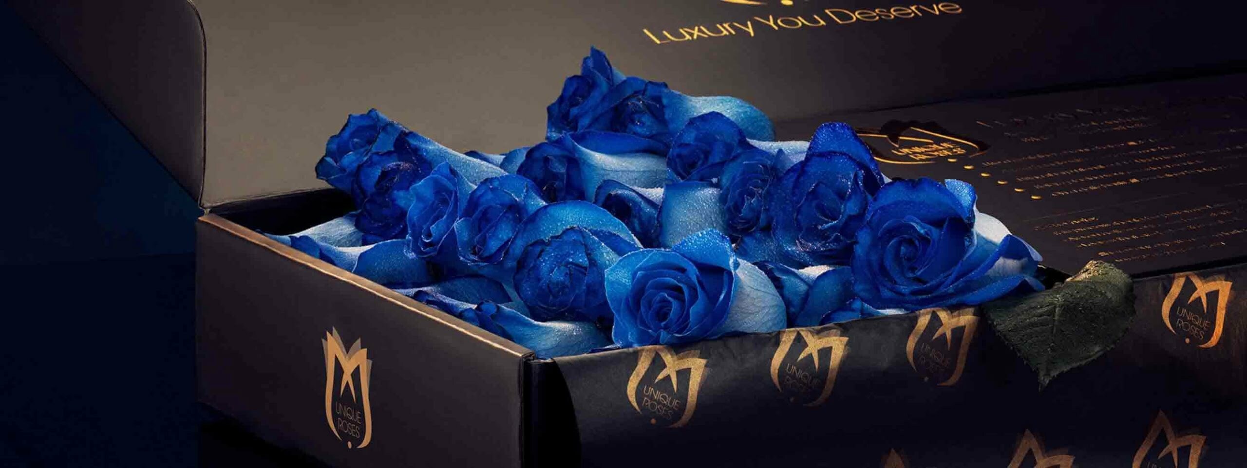 blue roses blue roses