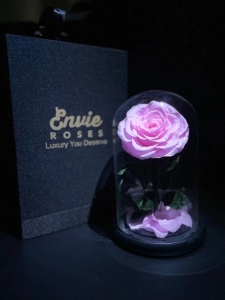 preserved roses pink