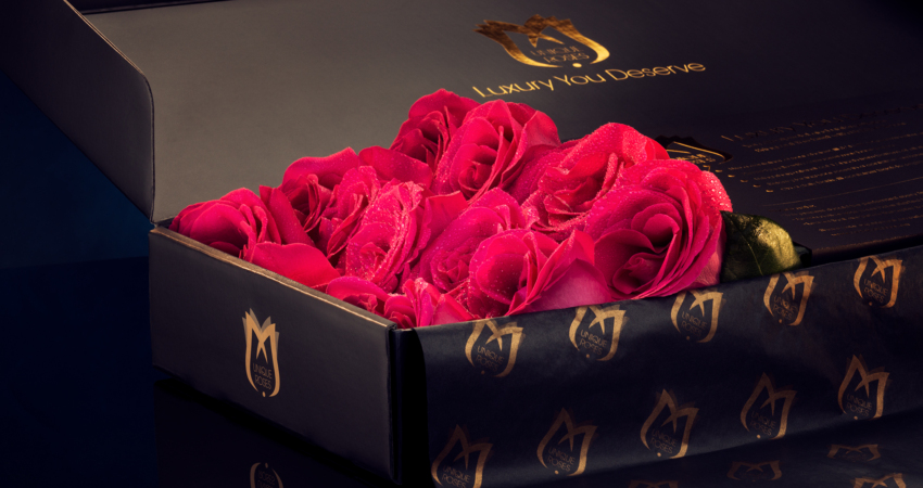 DARK PINK ROSES